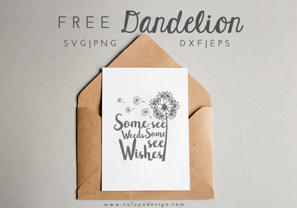 dandelion free SVG PNG