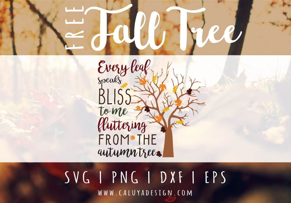 Fall Tree Free SVG PNG