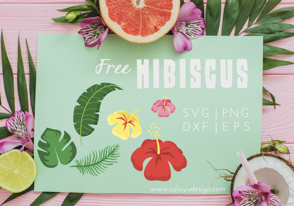hibiscus free svg