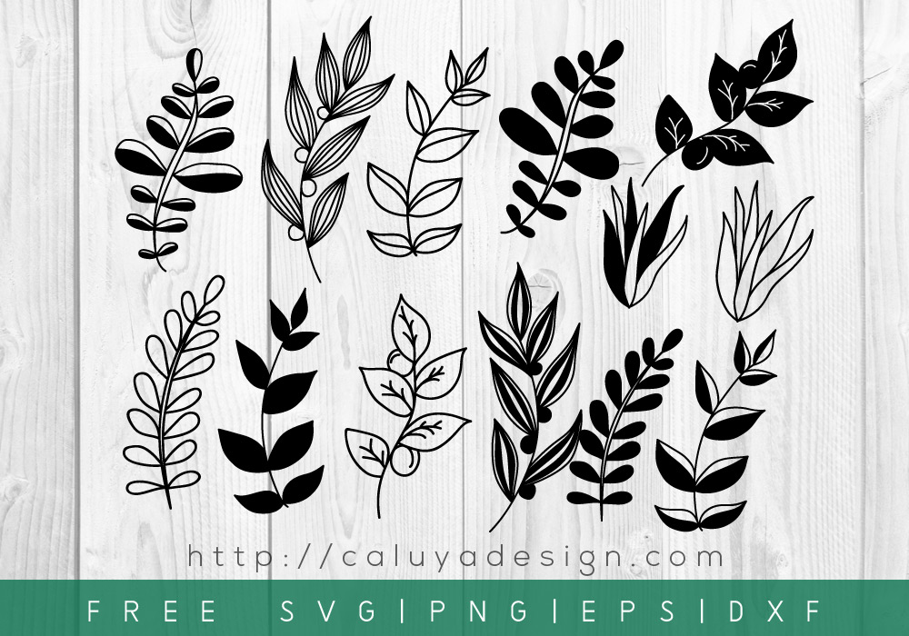 Free Botanical Leaves SVG, PNG, EPS & DXF Download