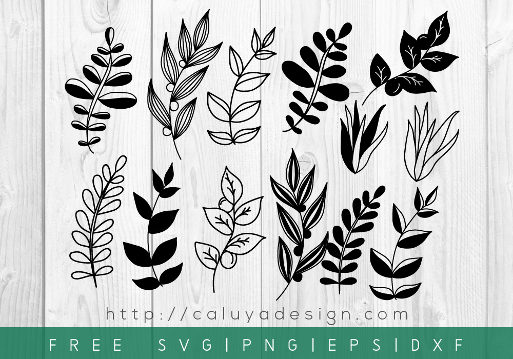 Download Free Botanical Leaves Svg Png Eps Dxf Download