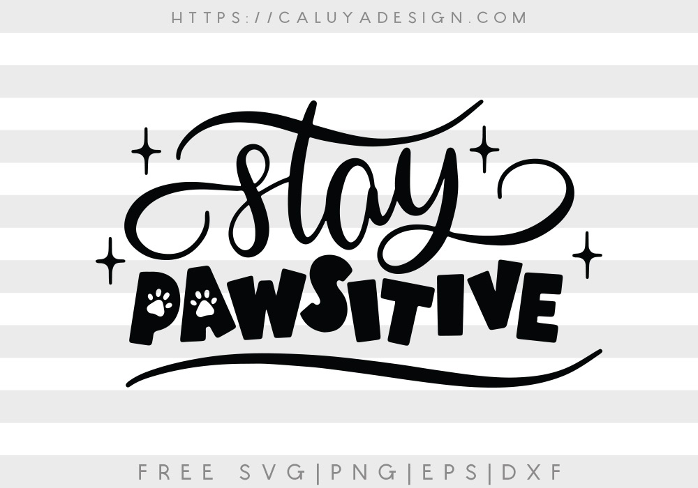 Free Stay Pawsitive SVG, PNG, EPS & DXF