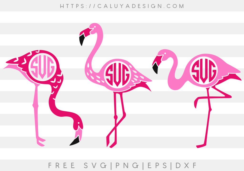 Download Free Flamingo Monogram SVG, PNG, EPS & DXF by Caluya Design