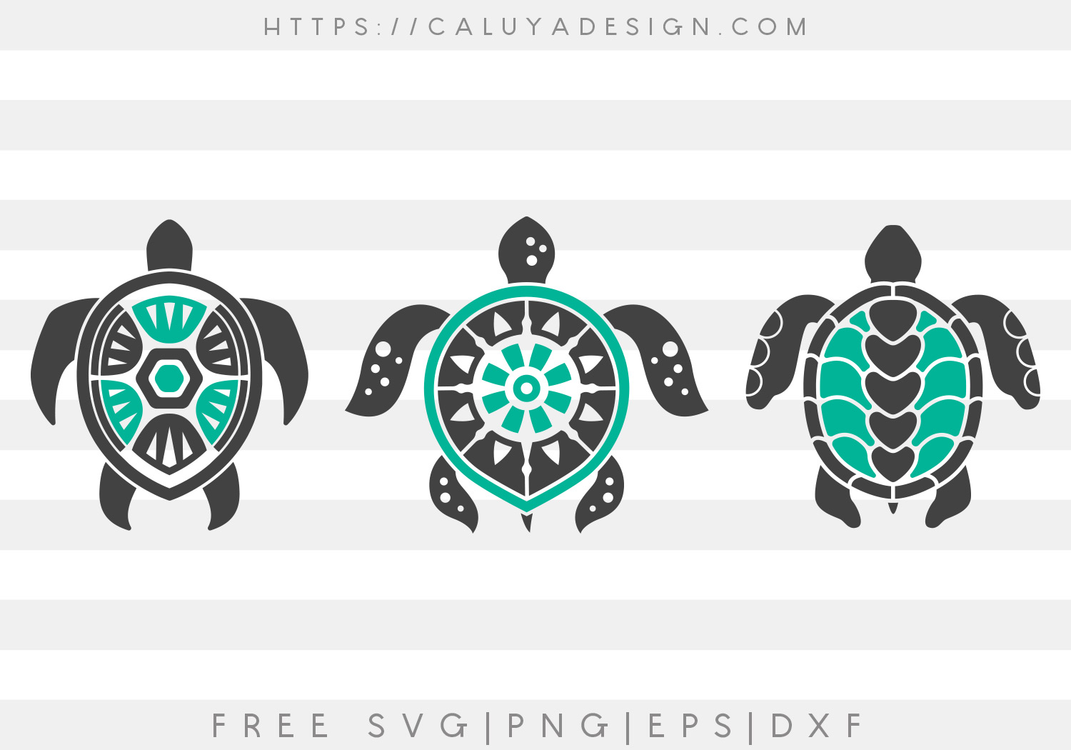 Download Free Turtle Set Svg Png Eps Dxf By Caluya Design