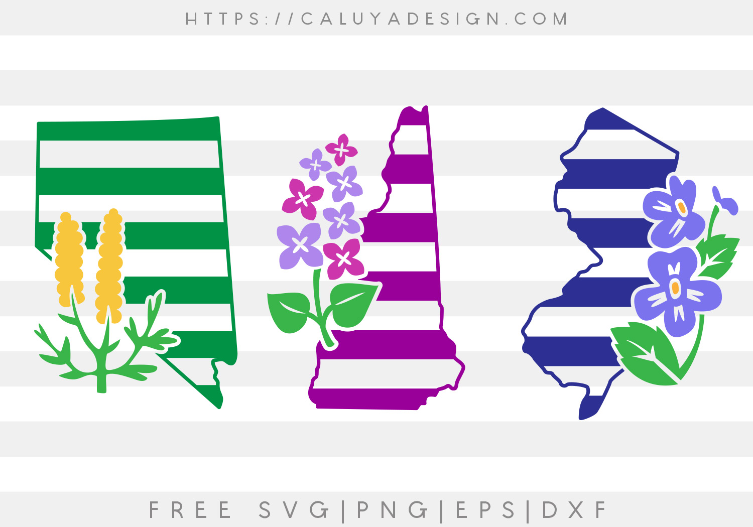 Free Nevada, New Hampshire and New Jersey SVG, PNG, EPS & DXF