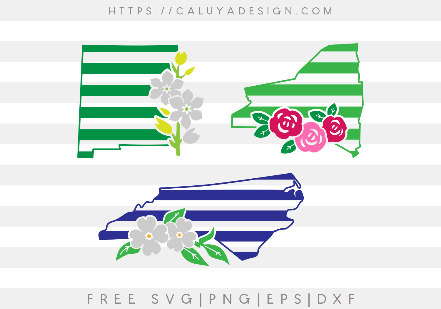 Free New Mexico, New York and North Caroline SVG, PNG, EPS & DXF