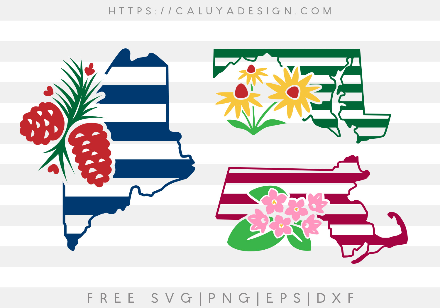 Free Maine, Maryland and Massachusetts State SVG, PNG, EPS & DXF