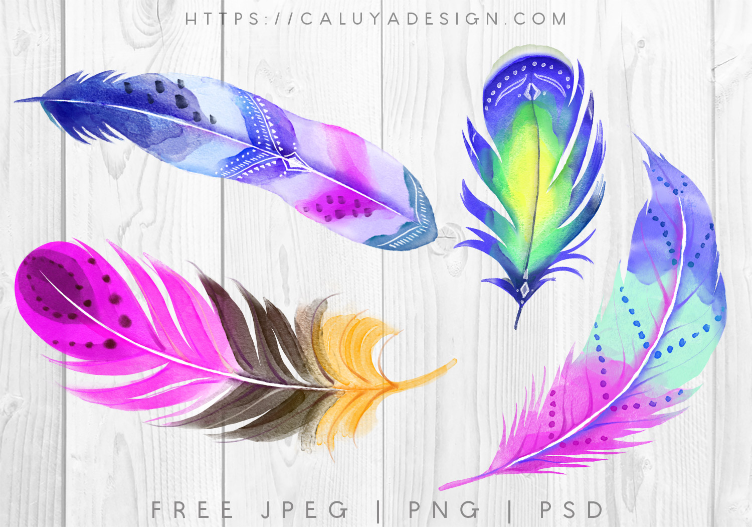 Free Watercolor Boho Feather Graphic PNG, JPEG & PSD