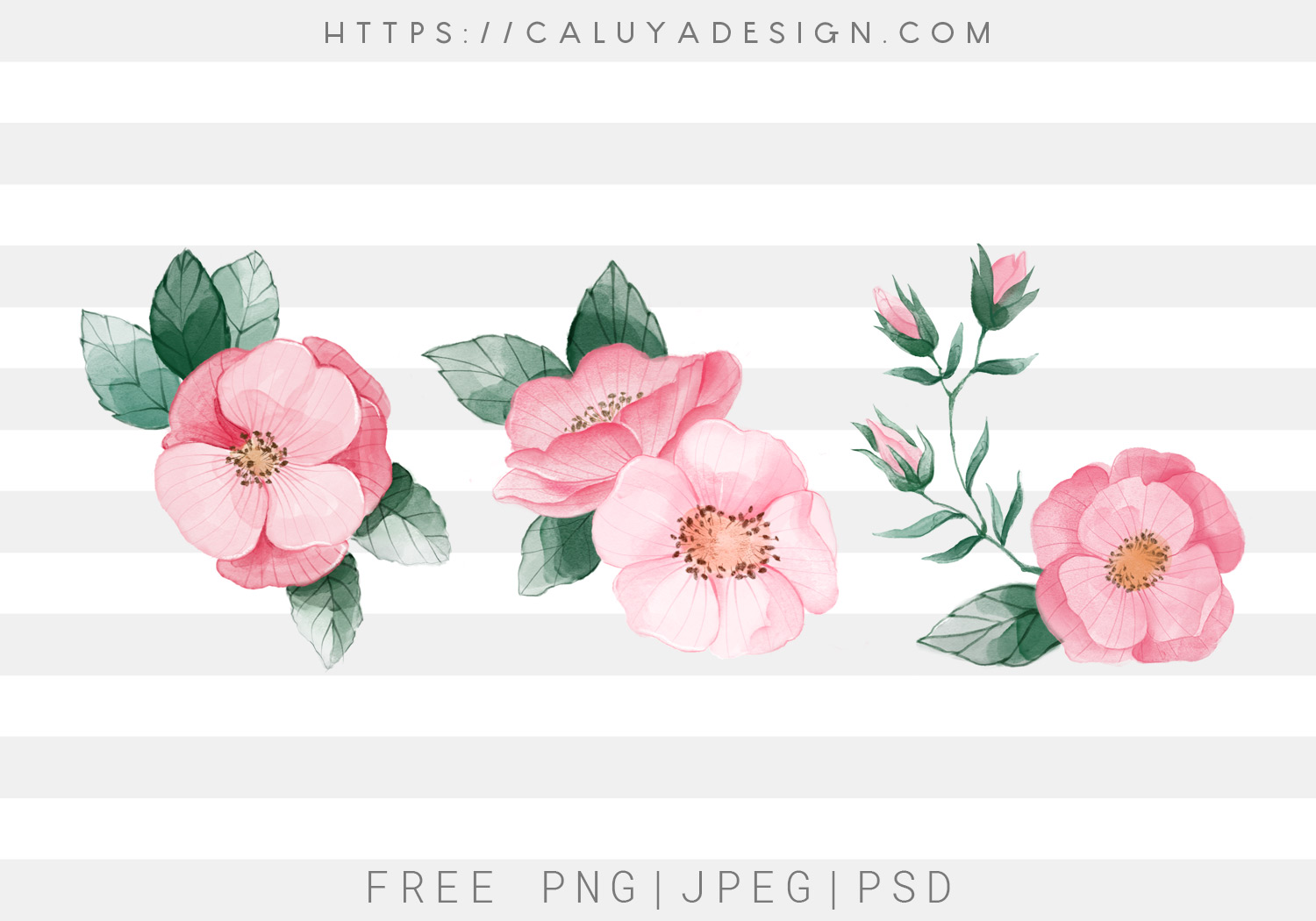 Free Watercolor Pink Flower Clipart Graphic