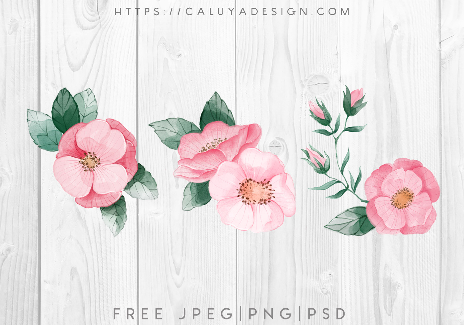 Free Watercolor Pink Flower Clipart Graphic PNG, JPEG & PSD