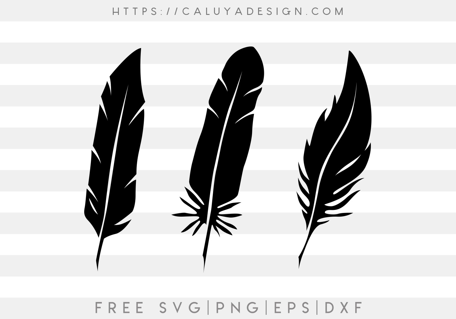 Free Feather Shadow SVG Cut File