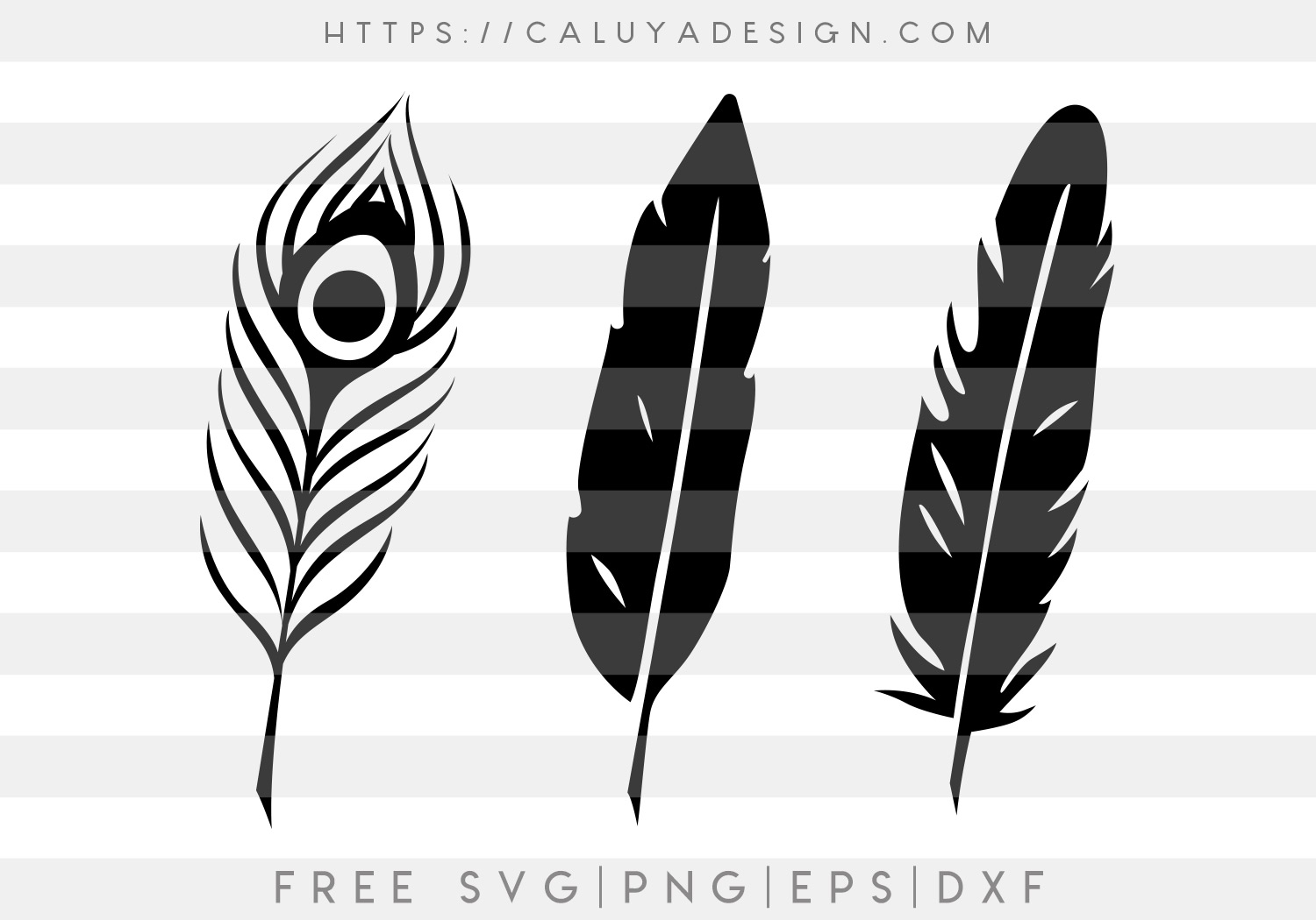 feather clipart feather quill pen feather svg bundle feather fountain pen silhouette svg png dxf eps cricut file silhouette cameo