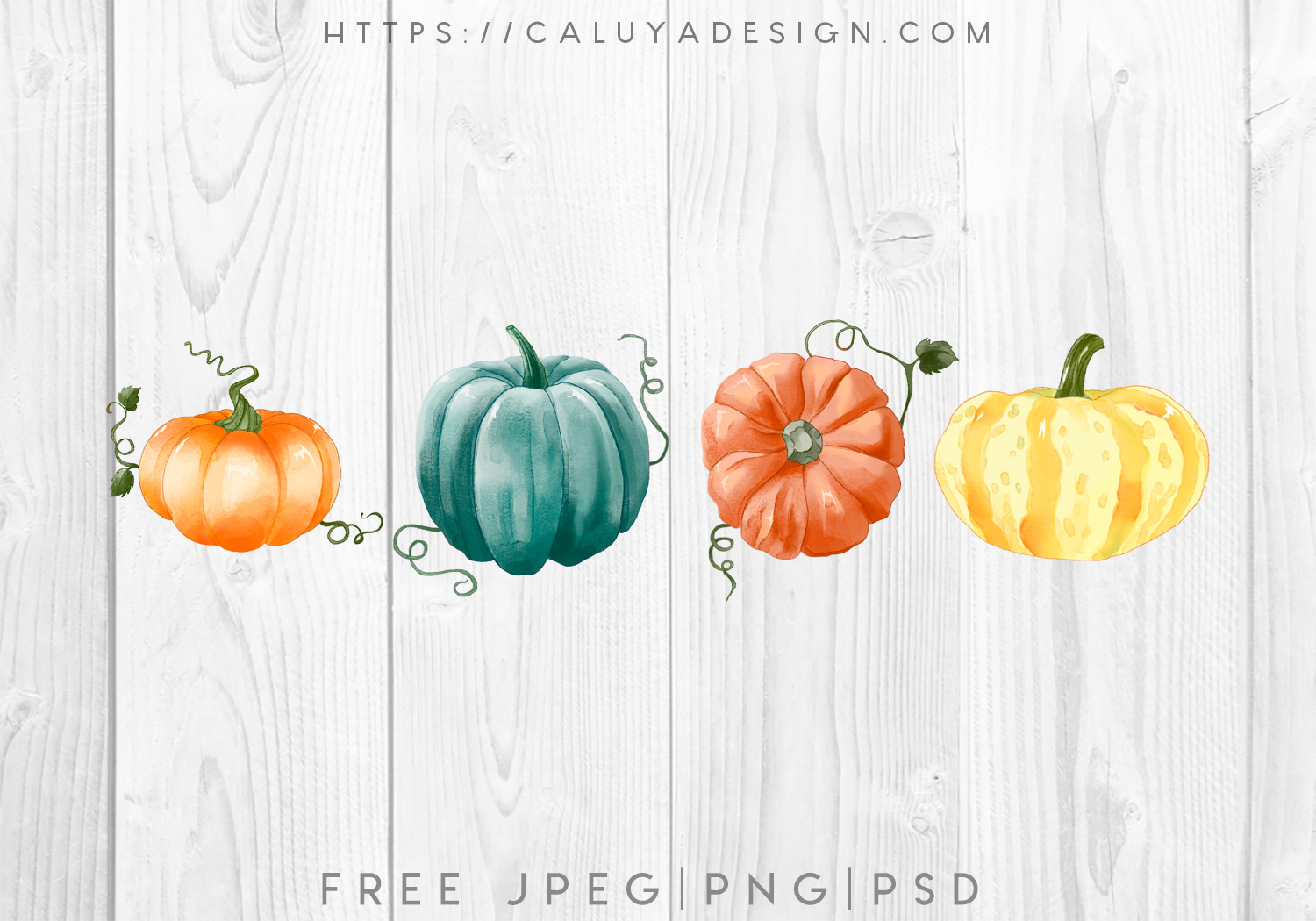 Free Watercolor Thanksgiving Pumpkins Graphic PNG, JPEG & PSD