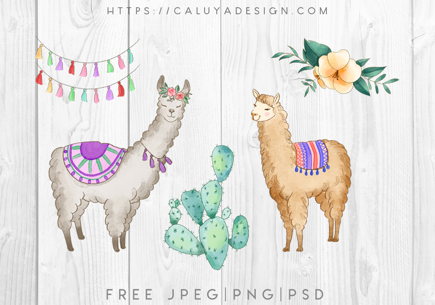 Free Watercolor Happy Alpaca PNG, JPEG & PSD