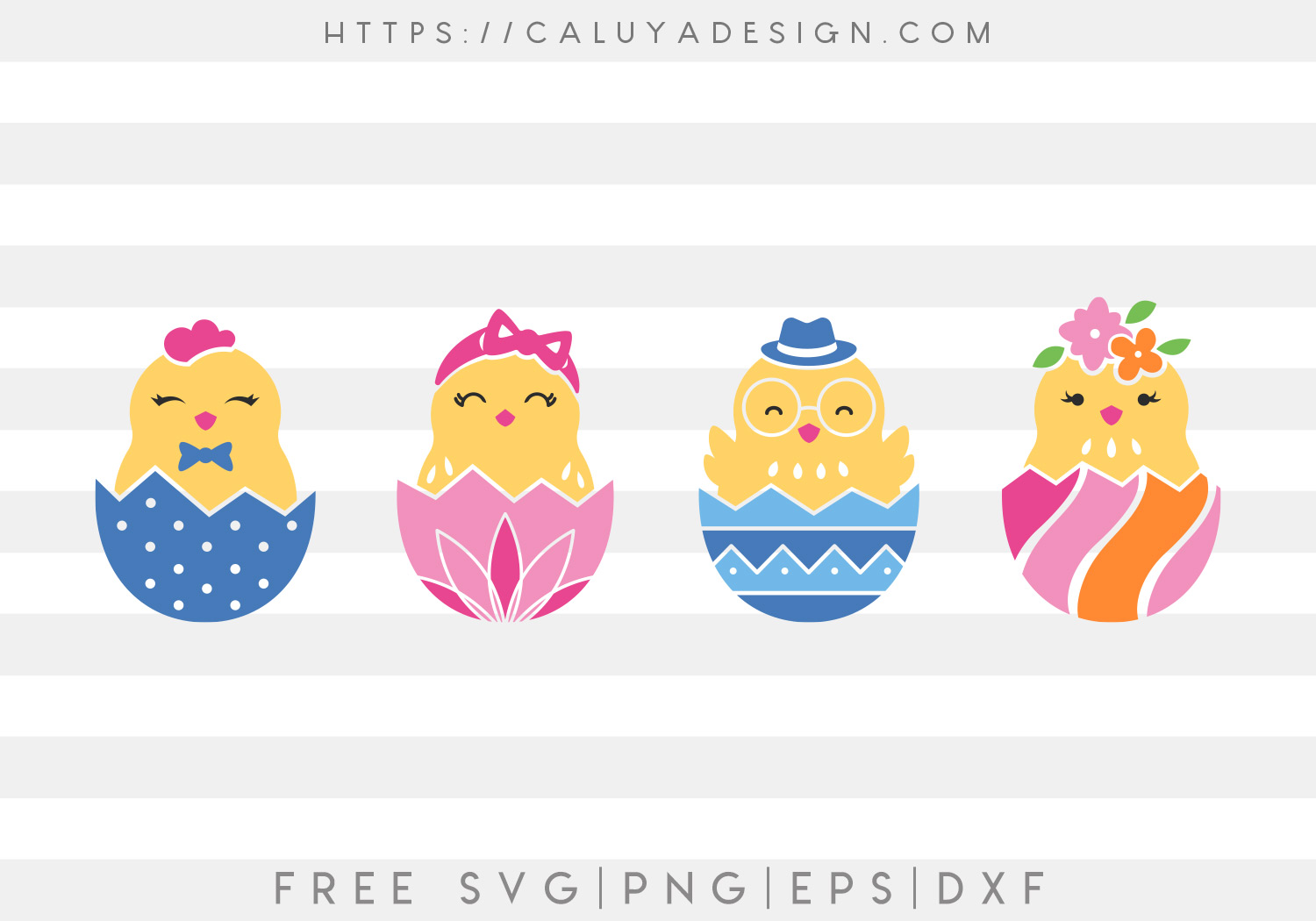 Free Chicks with Eggshell SVG