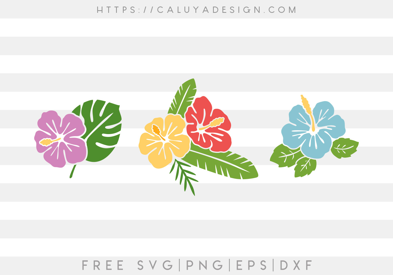 Hibiscus SVG, PNG, EPS & DXF