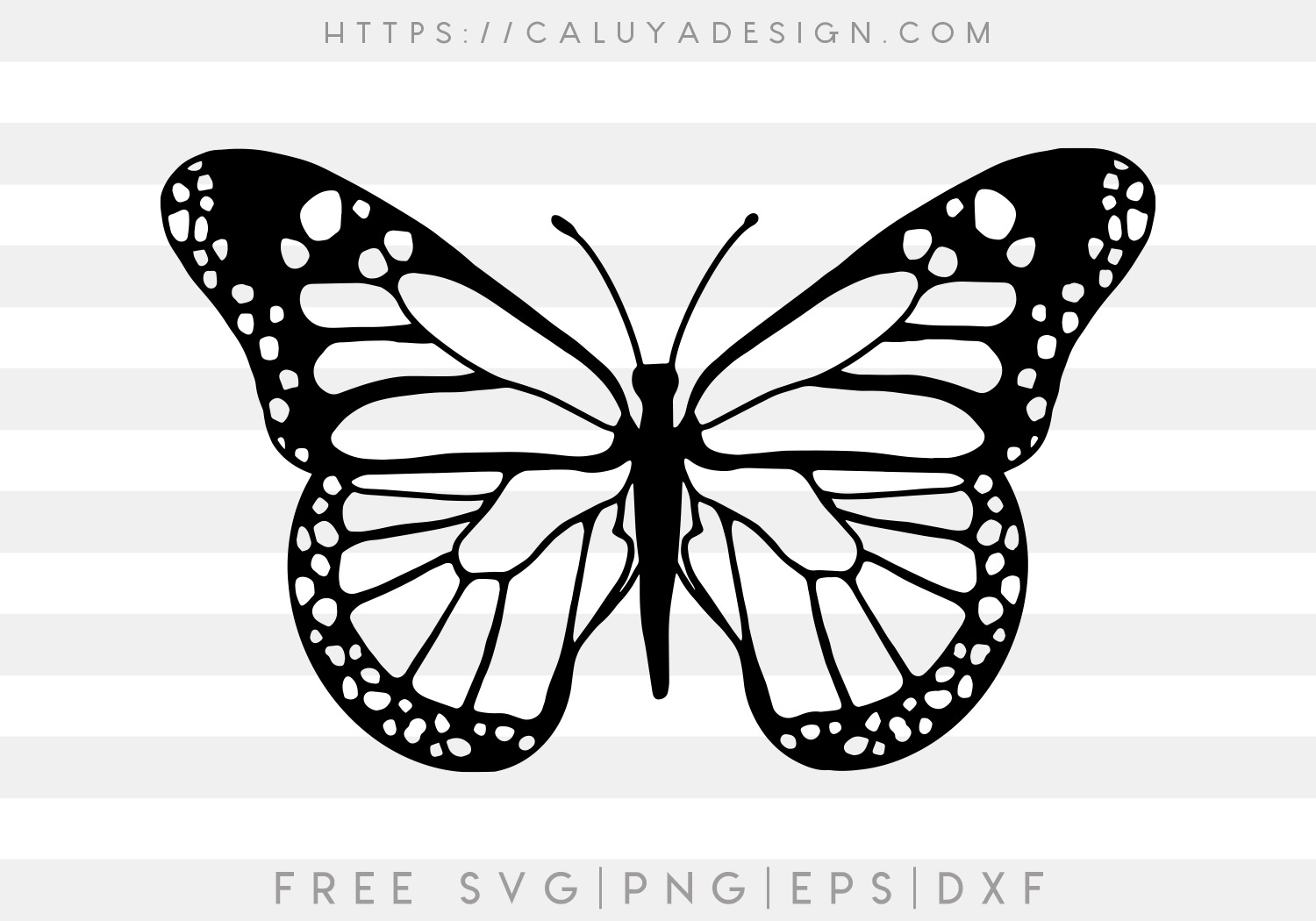 Free Handdrawn Butterfly SVG, PNG, EPS & DXF by Caluya Design