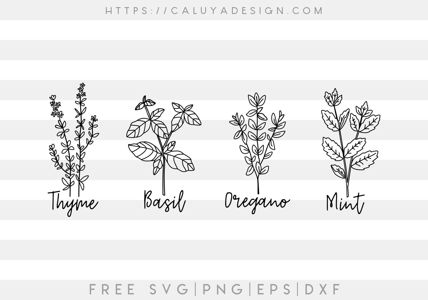 Herbs SVG, PNG, EPS & DXF