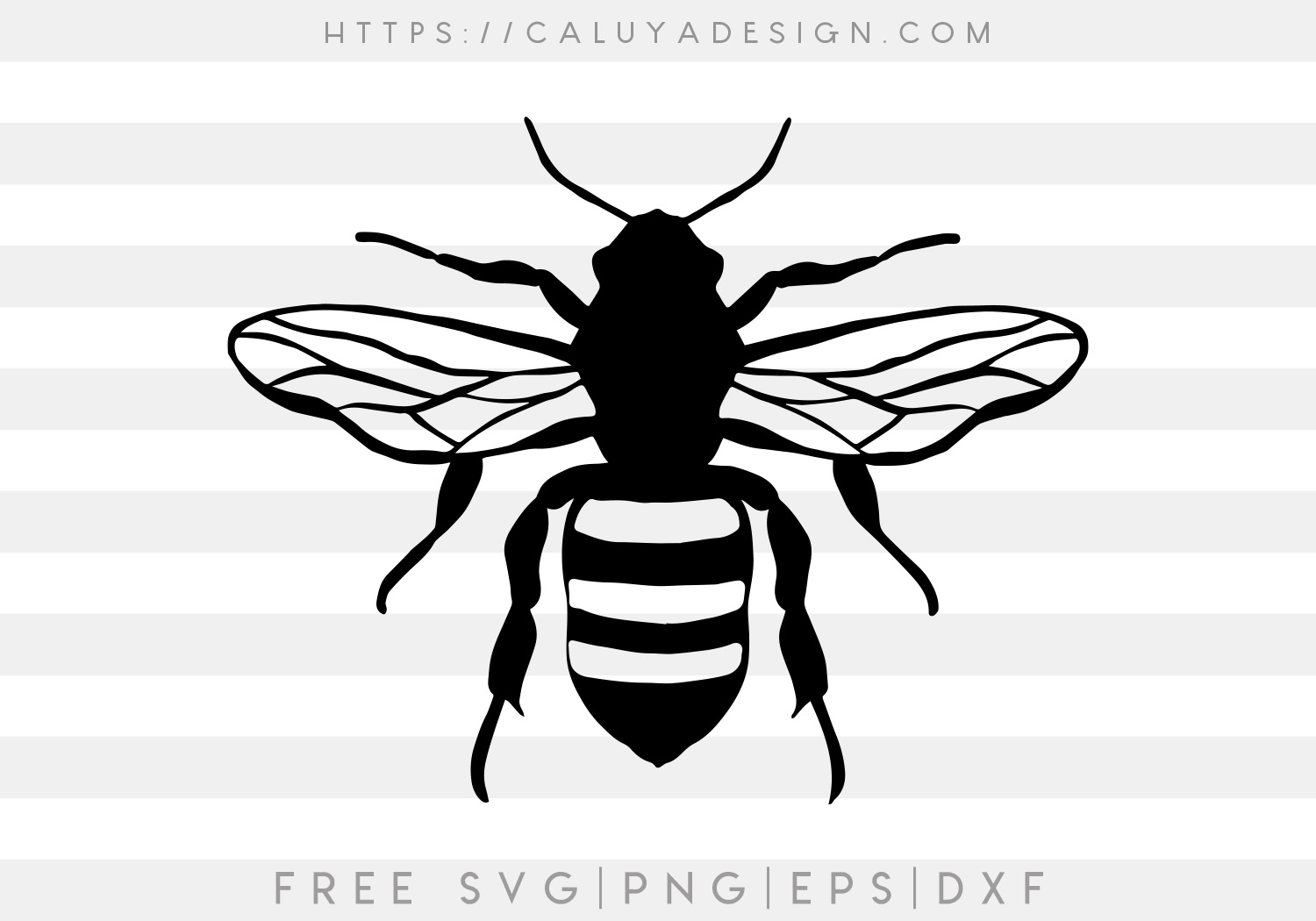 Vintage Bee SVG, PNG, EPS & DXF