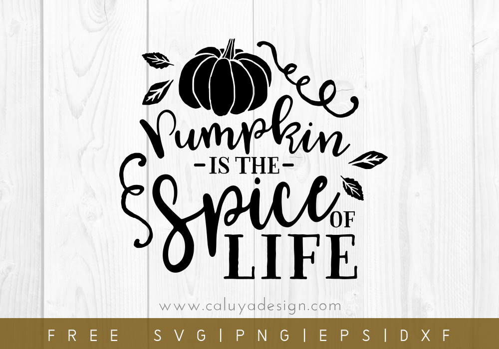 Free Pumpkin Is the Spice Of Life SVG Cut File
