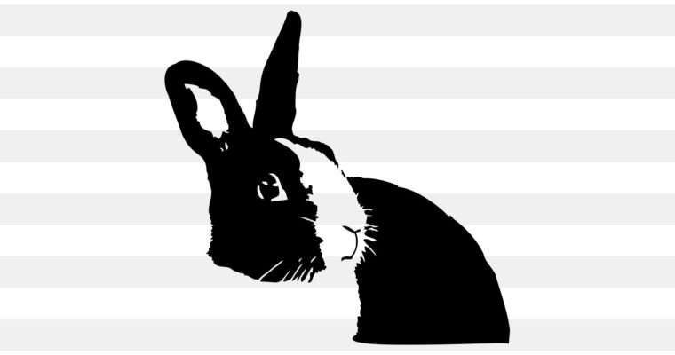 Realistic Bunny SVG, PNG, EPS & DXF