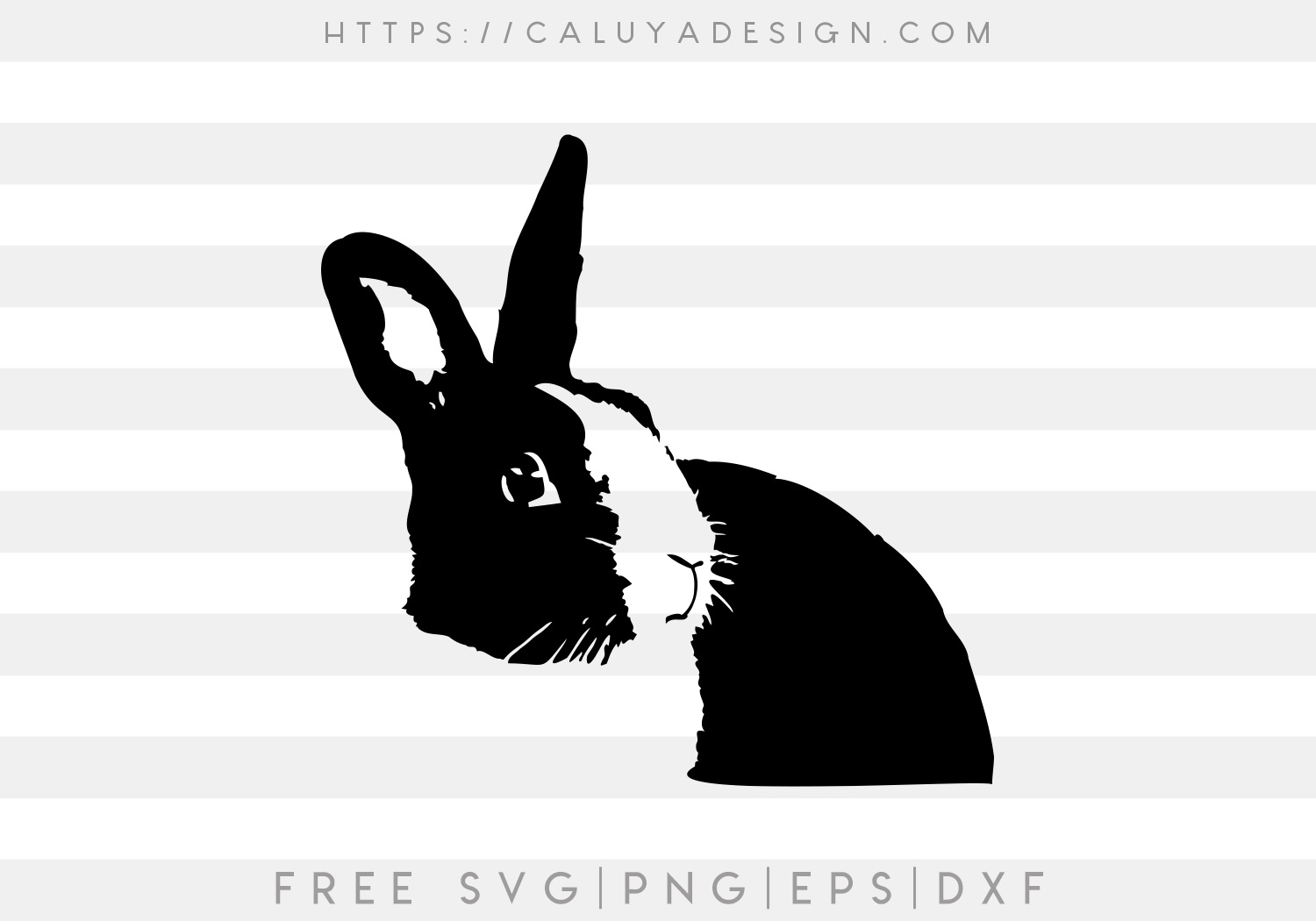Download Free Realistic Bunny Svg Cut File Caluya Design