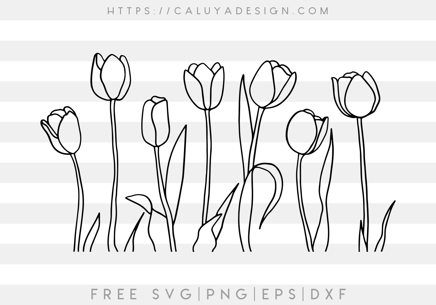 Free Tulip Outline SVG Cut File