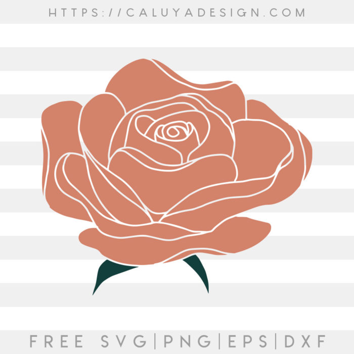 Free Handdrawn Rose SVG