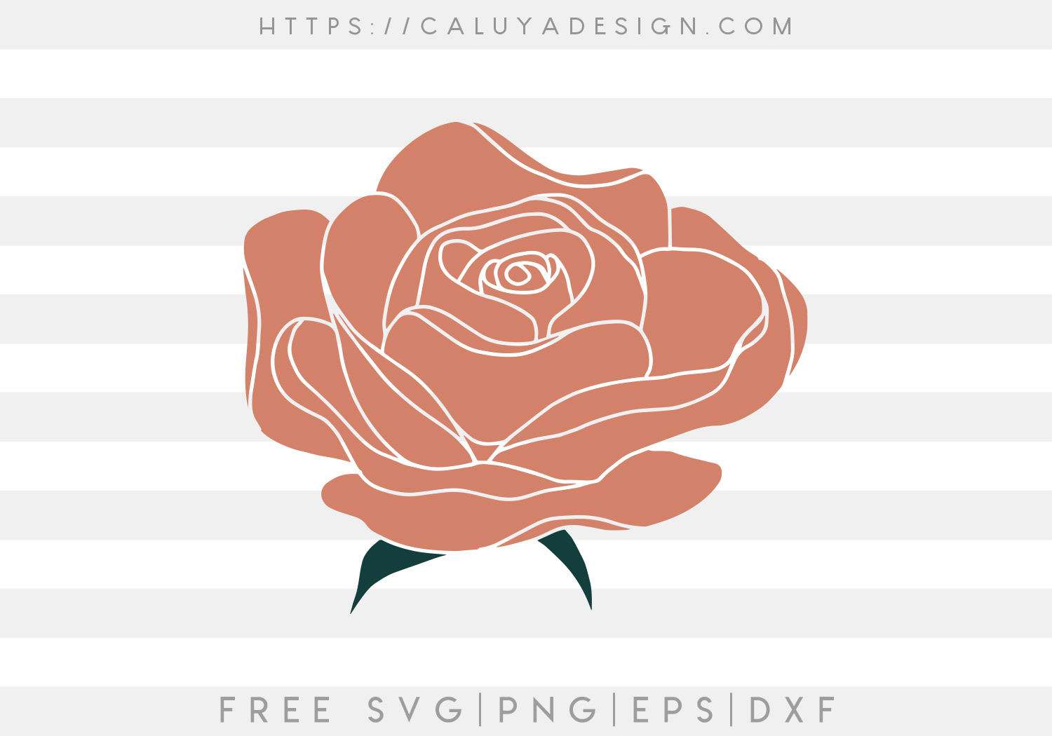 Free Handdrawn Rose SVG