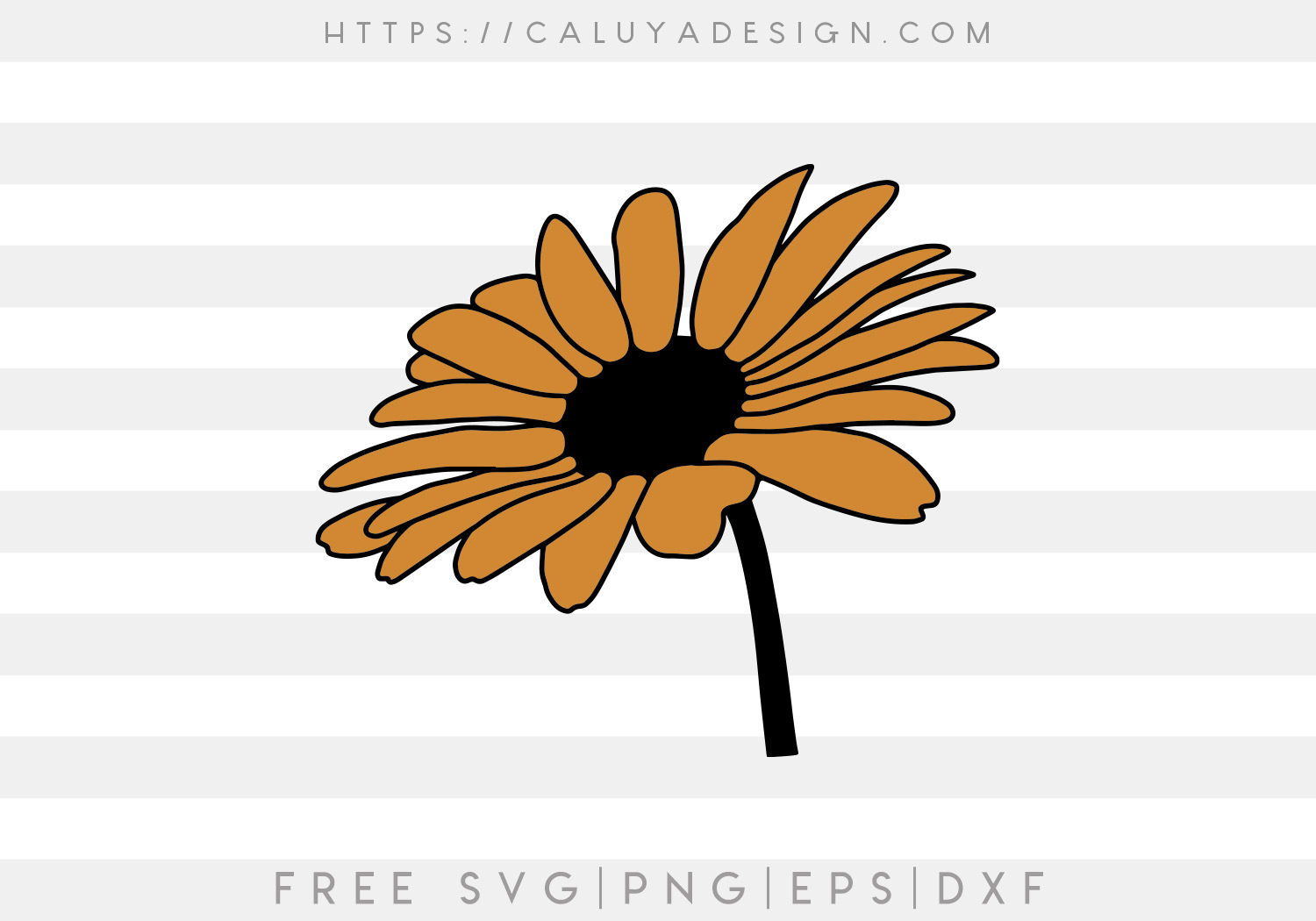 Download Free Daisy SVG - CALULYA DESIGN