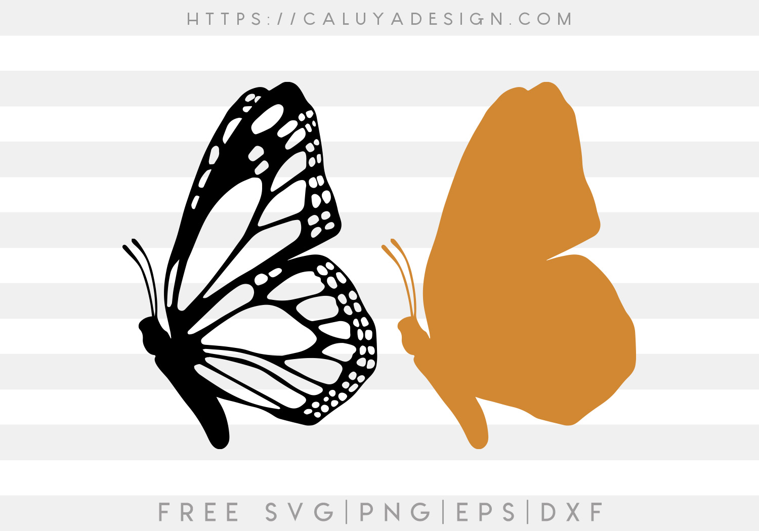 Free Layered Butterfly SVG - CALUYA DESIGN