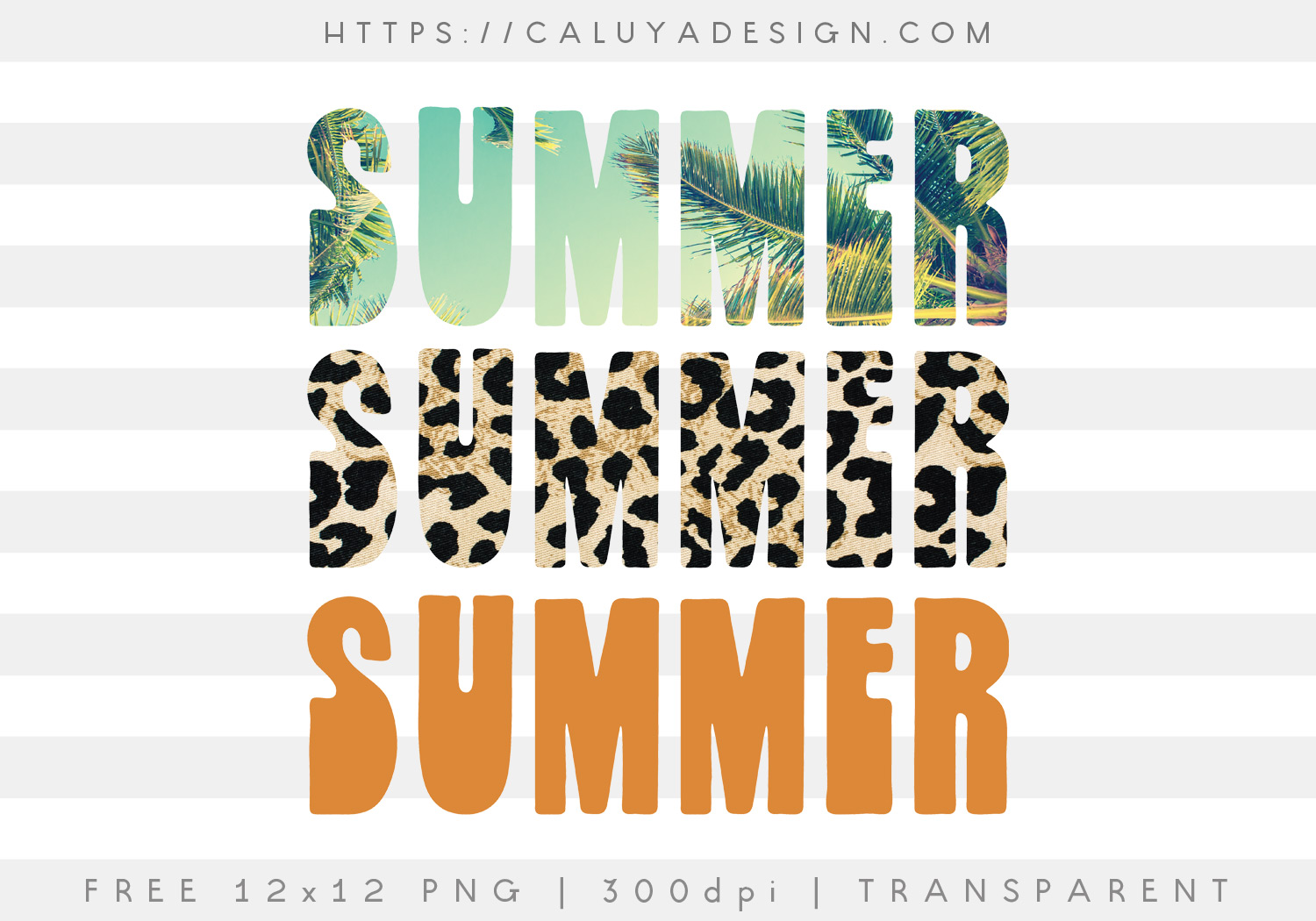 Free Summer Sublimation Palm PNG