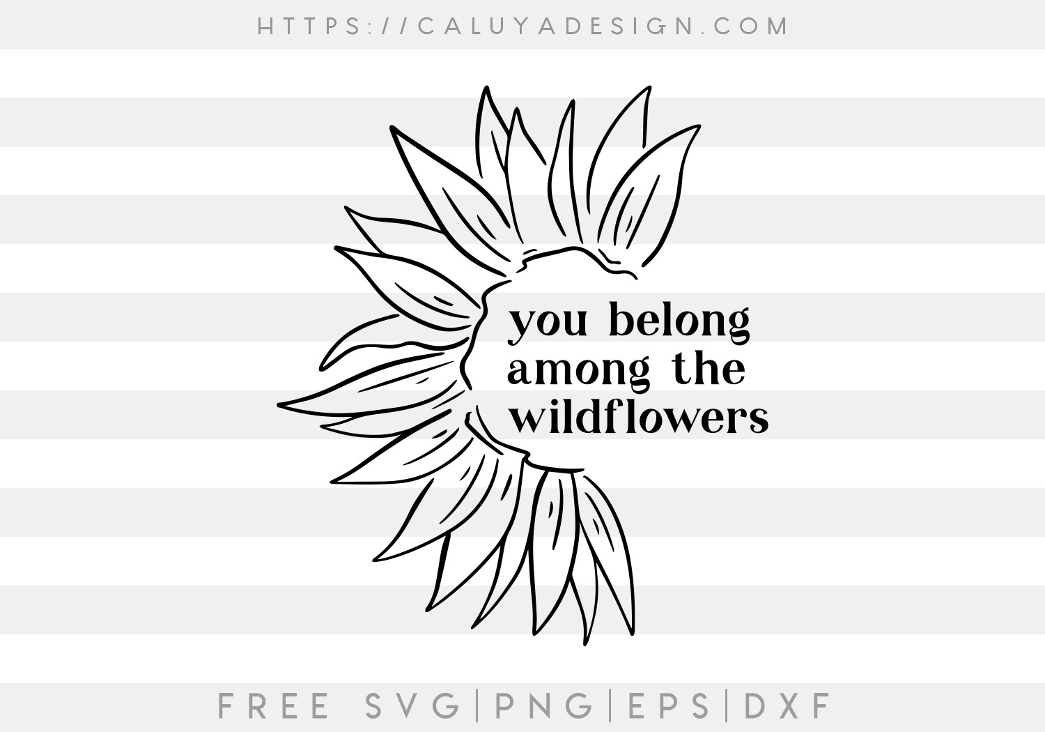 Free You Belong Among  the Wildflower SVG