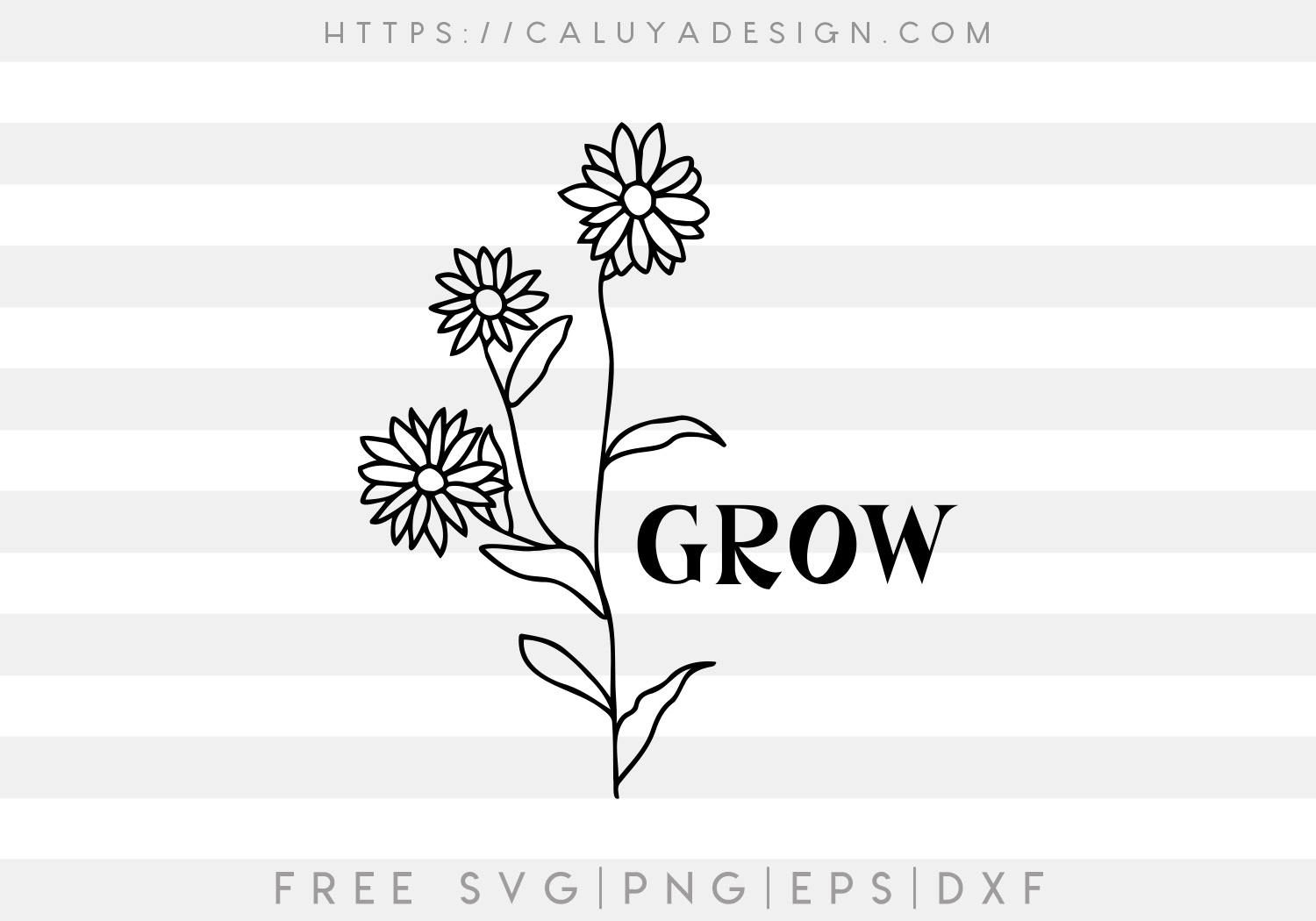 Free Grow Daisy SVG