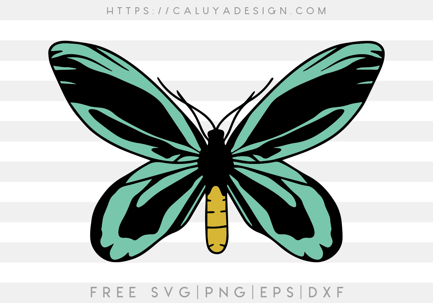 Free Queen Butterfly SVG