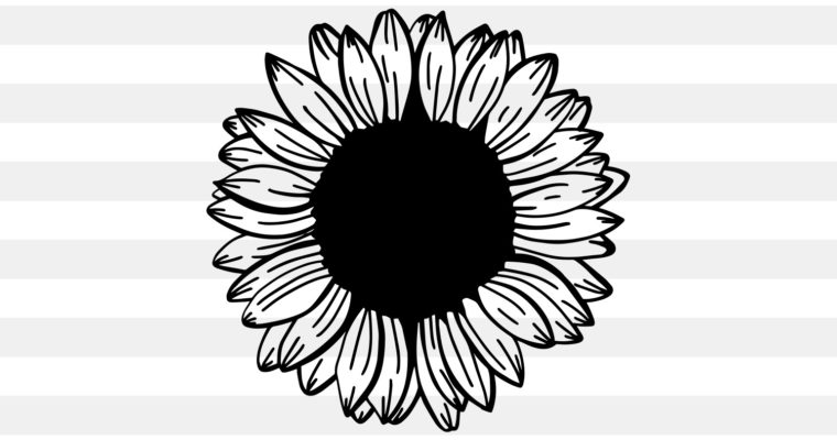 Free Handwritten Sunflower SVG